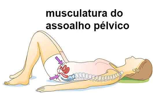 ilustração de mulher deitada sobre o solo com setas indicativas da localização da musculatura do assoalho pélvico