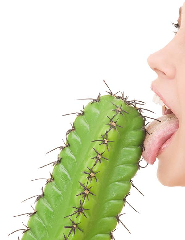 imagem de lingua de mulher lambem cactos verde