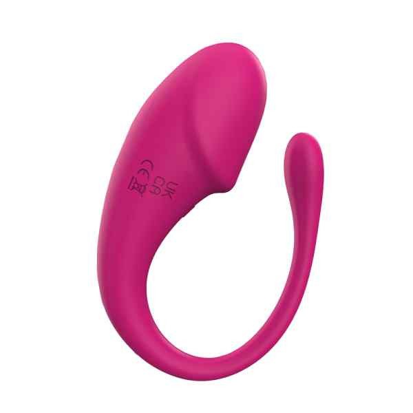 Vibrador Bluetooth Para Casal Controle no Celular a Distância via App Recarregável Via Usb